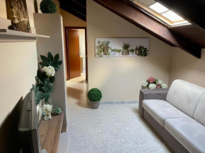 Appartamento Ss Antonio e Biagio Alessandria